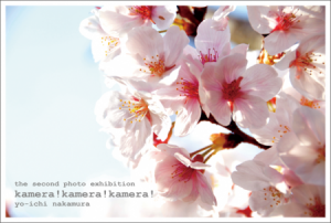 photo:the second photo exhibition "kamera!kamera!kamera!"