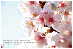 photo:the second photo exhibition  "kamera!kamera!kamera!"