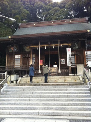photo:猫波祭(仮